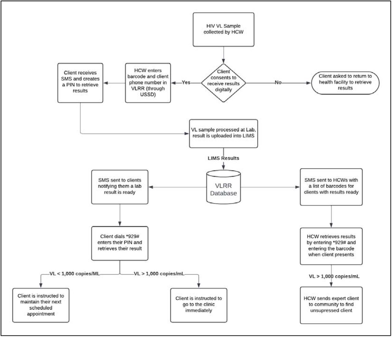 VLRR Workflow for clients and HCPs