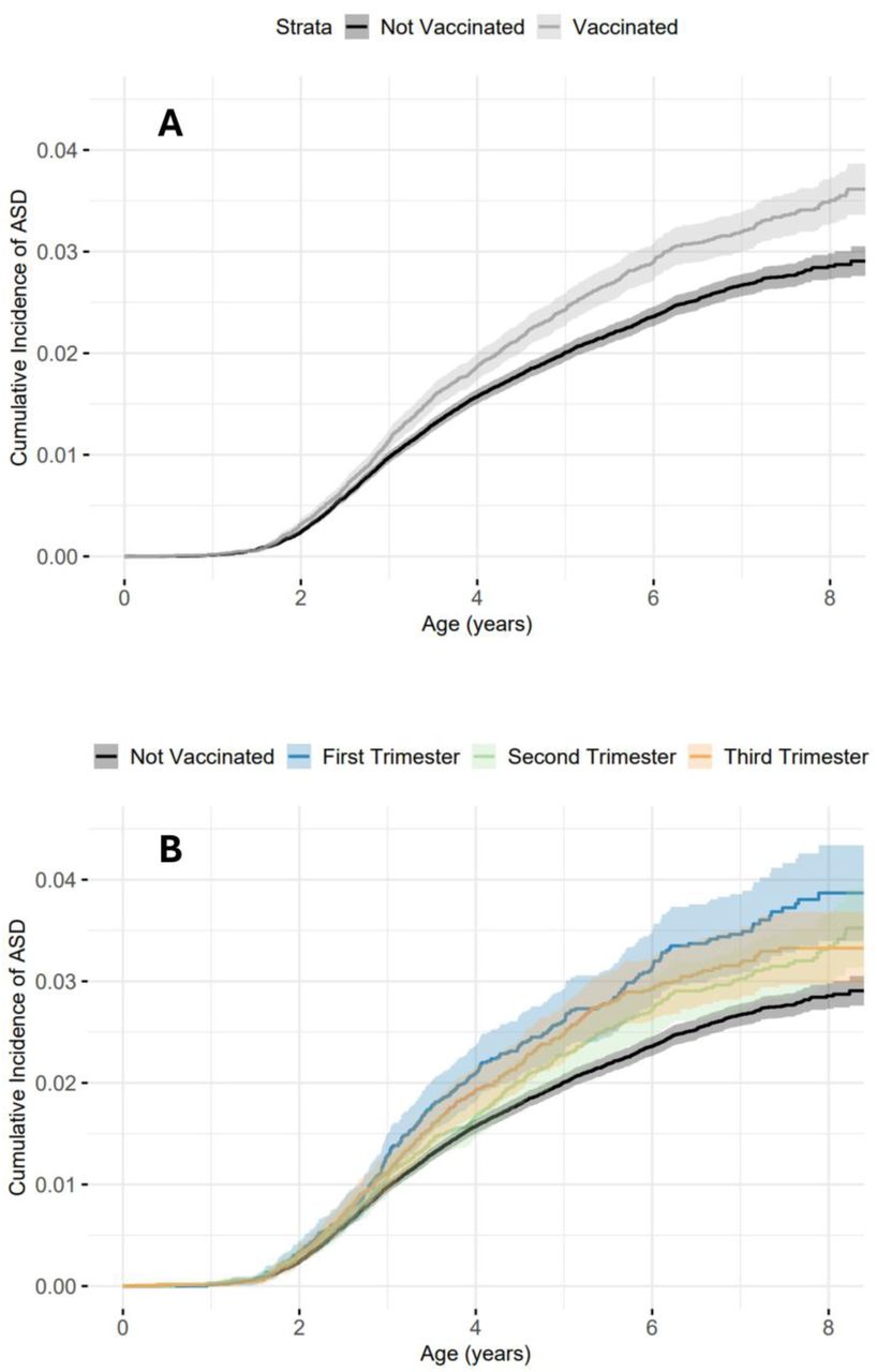 Kaplan-Meier Survival Plots of the Cumulative Incidence of ASD in Relation to Influenza Vaccine Exposure During Pregnancy. (A) Comparison of the cumulative incidence of ASD between mothers exposed (gray line) and unexposed (black line) to influenza vaccine during pregnancy. (B) Comparison of the cumulative incidence of ASD in the exposed group, stratified by pregnancy trimester exposure (blue, green, and orange lines representing the first, second, and third trimesters respectively), and the unexposed group (black line). Shaded areas denote the 95% confidence intervals for each exposure subgroup.