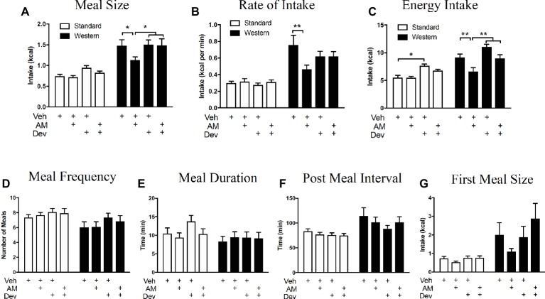 Peripheral eCB signaling drives hyperphagia in mice maintained on a WD via a CCK-dependent mechanism. Caloric intake (A), meal size (B), and rate of intake (C) of a western diet (closed bars) are significantly reduced during a 12 h test following inhibition of peripheral CB1Rs with AM6545 (AM, 10 mg per kg), an effect absent in low-fat chow fed mice (open bars) and that is blocked by co-administration with the CCKA receptor antagonist, devazepide (Dev; 0.1 mg per kg). Diet and drug had no effect on meal frequency (D), meal duration (E), post meal interval (F), or first meal size (G). All data represented as means ± SEM. Analyzed using regular 2-Way ANOVA with post hoc Newman-Keuls multiple comparison’s test. n = 11–12 per condition, *p < 0.05, **p < 0.01.