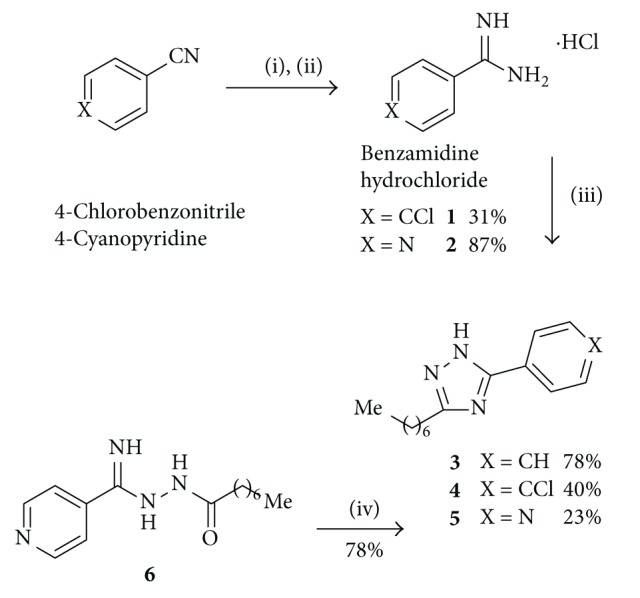 Reagents: (i) NaOMe, dry EtOH, N2 atm; (ii) NH4Cl, N2 atm; (iii) octanoic hydrazide, NaOMe, dry EtOH, Δ; and (iv) NaOMe, dry EtOH, Δ.