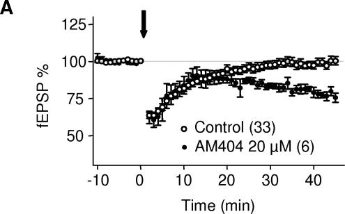 Effects of blocking eCB reuptake on sub threshold tetanus.Averaged time courses of the experiments in which the 5 min at 10 Hz protocol was given in control ACSF (open circles) of after pre-treatment with the eCB reuptake blocker AM404 (20 µM, black circles).
