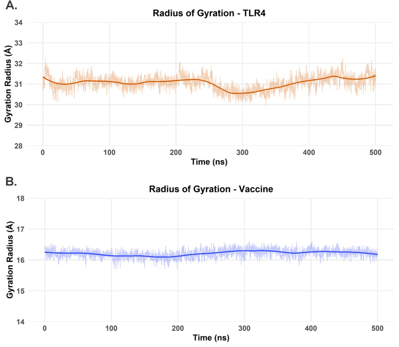 Rg analysis for each protein in the TLR4-vaccine complex over the course of our 500 ns MD simulation. (A) Rg values for the TLR4 receptor over the 500 ns trajectory. (B) Rg values for the vaccine model over the 500 ns trajectory.
