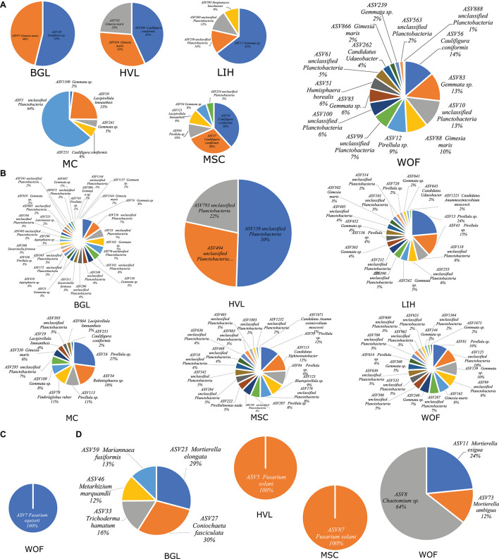 Indicator species of hemp microbiome. The most representative species of hemp microbiome were identified through indicator species analysis in six different field locations. Bacterial indicator species in root (A) and in rhizosphere soil (B); and fungal indicator species in root (C); and in rhizosphere soil (D). Fungal indicator species in root identified only in WOF filed. Three replicates were used for analyzing indicator species in each field.