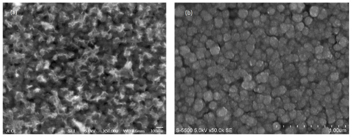 FESEM micrographs of Co2+ doped FeS2 thin film: (a) as deposited at 95 °C and (b) at 450 °C for 1 h.