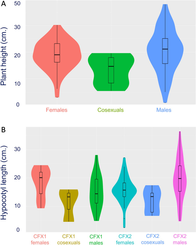 Morphological differences between two-week old male, female, and co-sexual (hermaphrodite) plants for (a) height and (b) hypocotyl length and (c) petiole length. This violin plot represents the distribution of the phenotypes; their medians are indicated by the white square, their medians are indicated by the thick black line, their interquartile ranges are represented by the black rectangle and the distribution is shown by the coloured area. Only traits that significantly affected sex or sex by cultivar interactions are shown here.