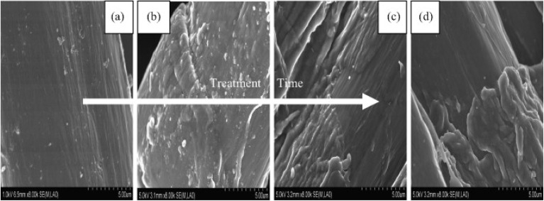 SEM images of corona-treated hemp fiber (a) untreated, (b) after 15 min, (c) after 30 min, (d) after 40 min. This figure has been reproduced from ref. 368 with permission from Elsevier B.V., copyright 2009.