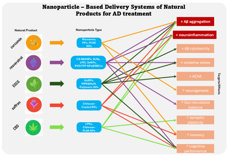 Diagram illustrating the therapeutic targets/effects modulated by selected natural products delivered via nanoparticles for Alzheimer’s disease, highlighting reductions (↓) in pathological features and enhancements (↑) in neuroprotective mechanisms. (EGCG, epigallocatechin gallate; CBD, cannabidiol; HFn, H-Ferritin nanocages; PLGA, poly(lactic-co-glycolic acid); NPs, nanoparticles; CS-BSANPs, chitosan-coated bovine serum albumin NPs, SLNs, solid lipid NPs; LMC, hollow-structured manganese-doped cerium dioxide; SeNPs, selenium NPs; RVG/TPP NPs@RBCm, red blood cell membrane-coated nanostructured lipid carriers bearing rabies virus glycoprotein and triphenylphosphine cation molecules attached to the RBC membrane; AuNPs, gold NPs; MPN@AuN, metal-phenolic network gold nanodelivery system; LPNs, lipid NPs).