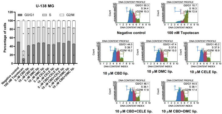 Cell cycle analysis of U-138 MG cell line after 24 h of treatment with CBD, DMC, CELE, CBD + CELE, and CBD + DMC liposomes using the Muse Cell Cycle Kit. Non-treated cells and topotecan (100 nM) served as negative and positive control of the assay, respectively. Values are expressed as mean ± SEM from two independent experiments. An asterisk (*) indicates the values significantly different from the untreated control cells with p < 0.05. Representative histograms are also presented.