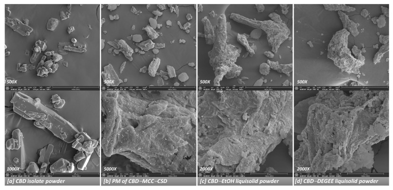FESEM images of the CBD isolate (a), PM powder (b) and CBD liquisolid powder (c,d).