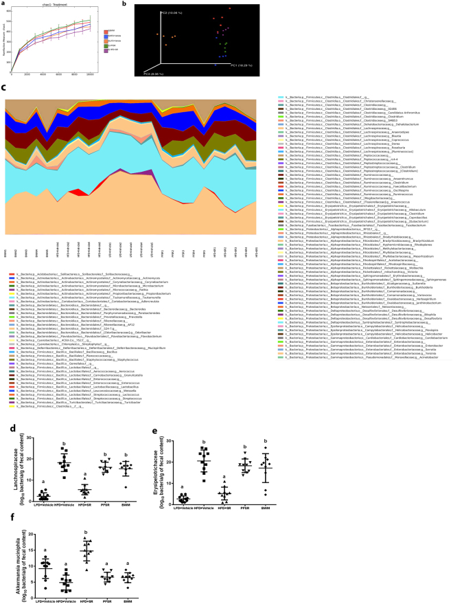 SR141716A alters gut microbiota in diet-induced obesity. Experiments Diet-Induced Obesity (DIO) were set up as described in Fig. 1 legend. Metagenomic analysis was performed on 16S rRNA V3 + V4region data, rarefied to a depth of 10,000 reads per sample. (a) Species richness metric based on Chao1 method was calculated. (b) Beta-diversity of the gut microbiome was evaluated by weighted UniFrac-based principal co-ordinate algorithim. The analysis was performed using the abundance matrix of genus-level Operational Taxonomical Units (OTUs) in different samples, and pairwise community distances were determined with 0.97 similarity using the weighted UniFrac algorithm. (c) Relative taxa abundance area plots for individuals from the five populations, summarized at the genus level. Individuals are represented along the horizontal axis, and relative taxa frequency is denoted by the vertical axis. (d) Lanchnospiraceae (e) Erysipelotrichaceae and (f) A. muciniphila abundance (log10 of bacteria per g of fecal content) was measured in mice (n = 10). Values with different superscript letters are significantly different, (P < 0.01) according to post hoc ANOVA one-way statistical analysis.