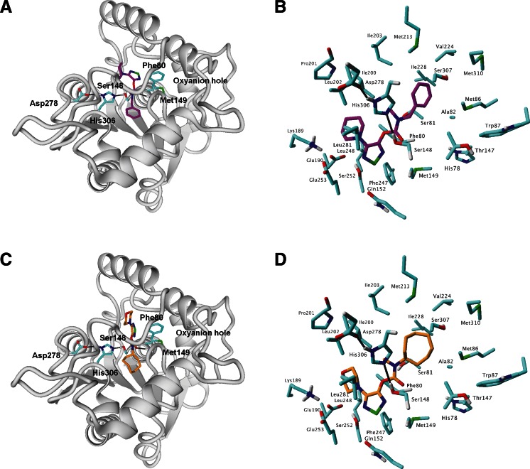 The docking poses of 1 (a, b) and 6 (c, d) in the binding pocket of ABHD6 selected for molecular alignment. a, c Overview of the complex; b, d details of the binding pocket