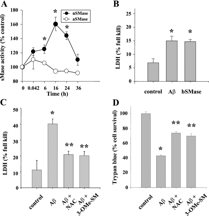Sphingomyelinase in Aβ-induced OLG death. (A) nSMase and aSMase activity in OLGs treated with 10 μM Aβ 25-35 for various time periods (from 2.5 min to 36 h). (B) Aβ or bSMase induced OLG death as determined by LDH assay. OLGs were exposed to 10 μM Aβ 25-35 or bSMase (1 U/ml) for 24 h. (C) LDH and (D) trypan blue assays on the effects of nSMase inhibitors on Aβ-mediated OLG death. OLGs were treated with 25 mM NAC or 1 μM 3-OMe-SM for 2 h before 10 μM Aβ 25-35 treatment for 24 h. Data shown are representative of three separate experiments of triplicate samples with similar results; error bars represent SD. *, Significant difference from control; **, significant difference from Aβ treatment; P < 0.05.