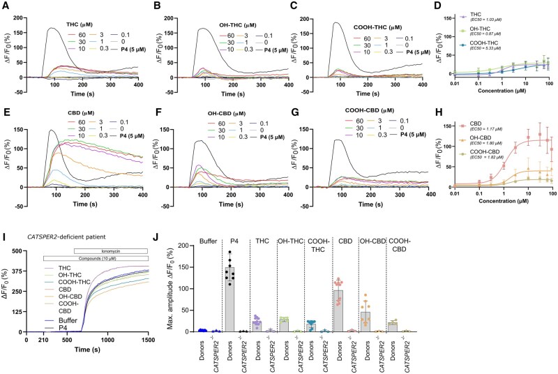 The action of delta-9-tetrahydrocannabinol (THC), cannabidiol (CBD), and their main metabolites on the intracellular Ca2+ concentration in human sperm. Representative Ca2+ signals in human sperm loaded with a fluorescent Ca2+ indicator evoked by progesterone (P4) and increasing concentrations of (A–C) THC, 11-hydroxy-Δ8-THC (OH-THC), 11-Nor-Δ9-carboxy-THC (COOH-THC), and (E–G) CBD, 7-hydroxy cannabidiol (OH-CBD), and 7-carboxy cannabidiol (COOH-CBD). ΔF/F0 (%) indicates the percentage change in fluorescence (ΔF) with respect to the mean basal fluorescence (F0) before application (at t = 54 s) and continuous presence of the compounds. Dose–response curves were fitted to the maximal signal amplitudes (mean ± SD), and EC50 (± SE of the fit) were generated for (D) THC (n = 11), OH-THC (n = 7), COOH-THC (n = 7) as well as (H) CBD (n = 10), OH-CBD (n = 8), and COOH-CBD (n = 4). (I) Representative Ca2+ signals evoked by progesterone (P4), THC, CBD, and metabolites before application (at t = 210 s) and continuous presence of the compounds (at 10 µM) with a subsequent application of the Ca2+-ionophore ionomycin (2 µM) in sperm of a man lacking the CATSPER2 gene (CATSPER2−/−), leading to a loss of CatSper function. (J) Scatter dot plot showing mean ± SD of maximal signal amplitudes evoked by P4 (5 µM) as well as THC, CBD, and metabolites (all at 10 µM) in control (same data as shown in D and H) and CATSPER2−/− sperm.
