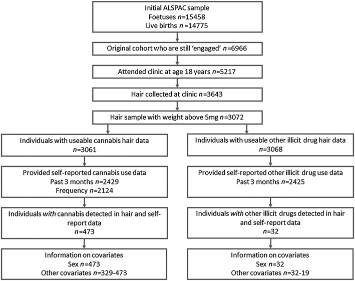 Sample derivation for analysis comparing hair drug testing and self‐report data at age 18 years