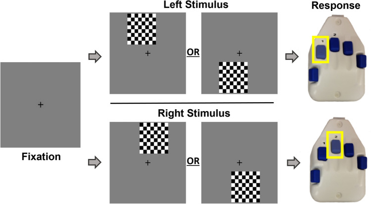 Visual-spatial processing task. Every trial began with a fixation period lasting 1900 to 2100 ms, which was then followed by the stimulus grid (duration = 800 ms). The stimulus grid was presented in one of four locations; off-center by 75% to either the right or the left of the fixation crosshair in the top or lower quadrant. Participants were instructed to use the response pad to indicate whether the grid was presented to the left (index finger) or right (middle finger).