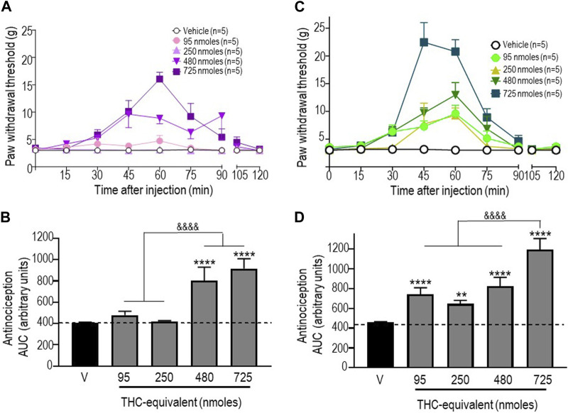 Anti-allodynic effects of the THC:CBD (1:1) mixture and the extract in STZ rats. One week after STZ administration, rats received i.t. injections of (A) the THC:CBD (1:1) mixture or (C) the cannabis extract at the indicated THC-equivalent doses. Mechanical thresholds were assessed every 15 min after injection for a period of 120 min, thus allowing all responses to return to baseline. (B, D) Histograms show AUC values (mean ± SEM; n = 5) corresponding to withdrawal thresholds integrated over 120 min and are expressed in arbitrary units. A one-way ANOVA followed by Sidak’s multiple comparison test was used to compare anti-allodynic responses. **p < 0.01 and ****p < 0.0001 compared to vehicle; & p < 0.05 and &&&& p < 0.0001, as indicated.