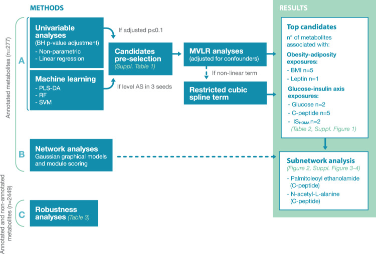 Flow chart of data analyses.A Univariable analysis and machine learning methods were combined to pre-select metabolic candidates (Supplementary Table 1). To select the most prominent candidates, multivariable linear regression (adjusting for confounders)—with restricted cubic spline terms if association was non-linear—were performed (Table 2 and Supplementary Fig. 1). B Network analysis was applied to identify sets of correlating metabolites that are coordinately regulated by an exposure (BMI, leptin, glucose, C-peptide or ISHOMA). Subnetworks comprising metabolites of interest, i.e palmitoleoyl ethanolamide and N-acetyl-L-alanine, were further explored (Fig. 2, Supplementary Figs. 3, 4). C To examine the robustness of the results, univariable analyses were performed in the total set of metabolites (annotated and non-annotated) (Table 3). BH Benjamini-Hochberg, PLS-DA partial least squares discriminant analysis, RF random forest, SVM support vector machine, MVLR multivariable linear regression analysis, BMI body mass index, ISHOMA homeostatic model assessment of insulin sensitivity.