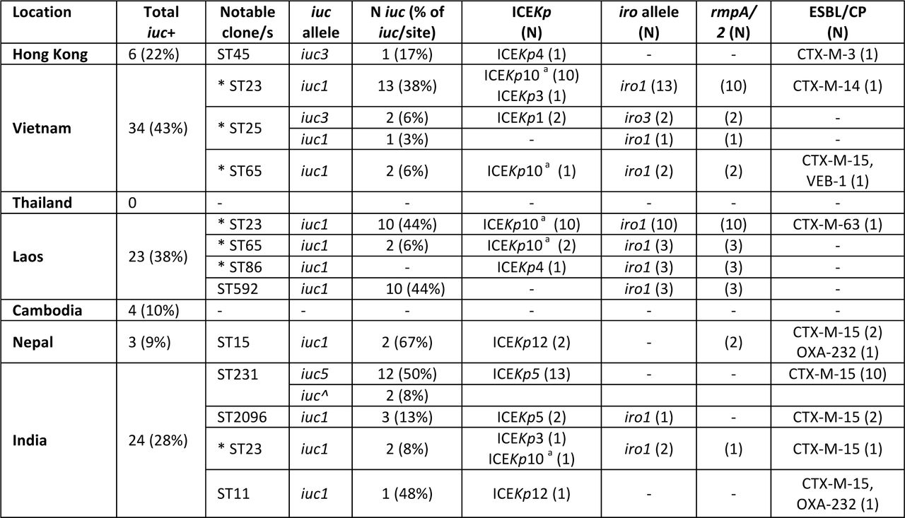 Notable iuc-positive STs by region.Details of all STs with ≥3 iuc-positive genomes at any single site (i.e. predicted as aerobactin-producing), or carrying iuc in addition to ESBL and/or carbapenemase genes. *Known hypervirulent STs. aICEKp10 carries ybt and clb.