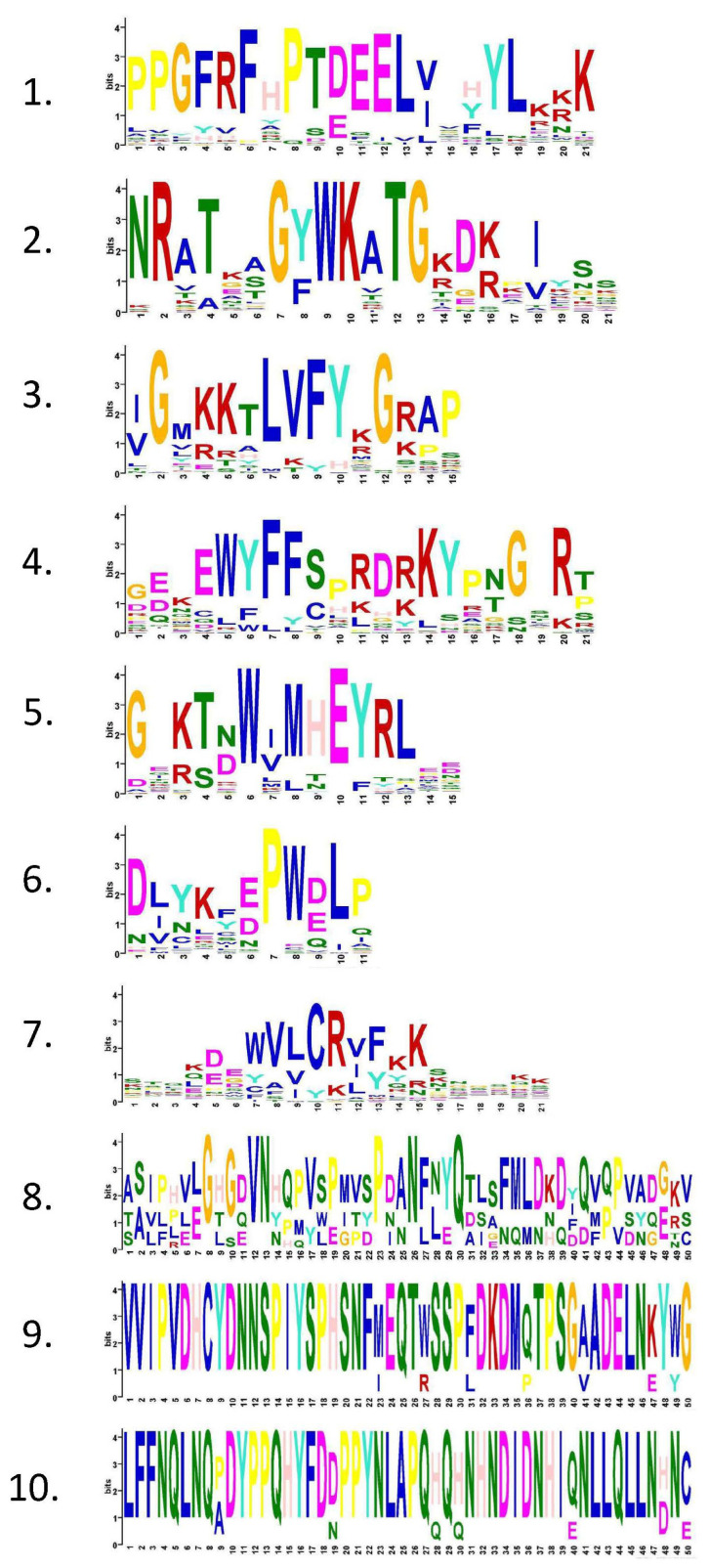 Conserved motif of CsNAC proteins.