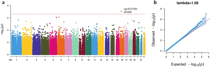 Results from the EWAS meta-analysis for lifetime cannabis use in participants who never smoked cigarettes.a Manhattan plot. The dotted red line indicates the epigenome-wide significance cutoff at FDR < 0.05 (P<2.45×10−7). b QQ plot.