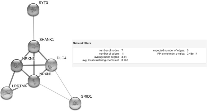 STRING analysis. STRING schematic of protein interactions for the seven genes that were analyzed. The schematic shows that each protein interacts with at least one other protein in this network. The number of nodes represents the number of proteins analyzed, and the number of edges represents the number of interactions present between the seven nodes. The significant PPI enrichment p-value indicates that the interactions of these proteins is not random.