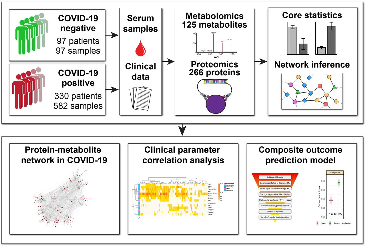 Study outline.Study population composed by COVID-19 patients and controls. Serum samples obtained from clinically indicated specimens during the first 72 hours of admission. Metadata obtained from electronic medical records. We obtained metabolomic and proteomic profile, after which we integrated our findings into a single network describing the associations between differentially expressed proteins and metabolites in COVID-19. We then correlated the metabolites and proteins with baseline characteristics, laboratory parameters and clinical events. Finally, we developed a novel metabolite-based prediction model for a composite outcome measure comprised of key clinical parameters including death, mechanical ventilation, initiation of dialysis, supplemental oxygen requirement, development of acute kidney injury, and length of hospital stay.
