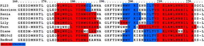 Secondary structure colour-coded scheme of the CBD alignment of the well conserved group composed of lysins from 9 phages using Praline18 showing the differences in peptide sequence and its impact in the predicted structure of the lysins CBD.