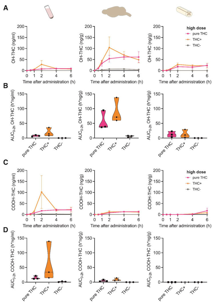 Pharmacokinetic profile of THC metabolites following oral administration of cannabis extracts and pure THC compound. (A) Concentration-time profiles of OH-THC in plasma, brain and spinal cord at 0, 1, 2, 4 and 6 h after oral administration of 20 mg/kg pure THC compound, 40 mg/kg THC+ extract and 1560 mg/kg THC- extract. Data are represented as mean ± SEM, n = 3 per timepoint. (B) AUC0–2h of OH-THC concentrations calculated for data shown in (A). (C) Concentration-time profiles of COOH-THC in plasma, brain and spinal cord at 0, 1, 2, 4 and 6 h after oral administration of 20 mg/kg pure THC compound, 40 mg/kg THC+ extract and 1560 mg/kg THC- extract. Data are represented as mean ± SEM, n = 3 per timepoint. (D) AUC0–2h of COOH-THC concentrations calculated for data shown in (C).