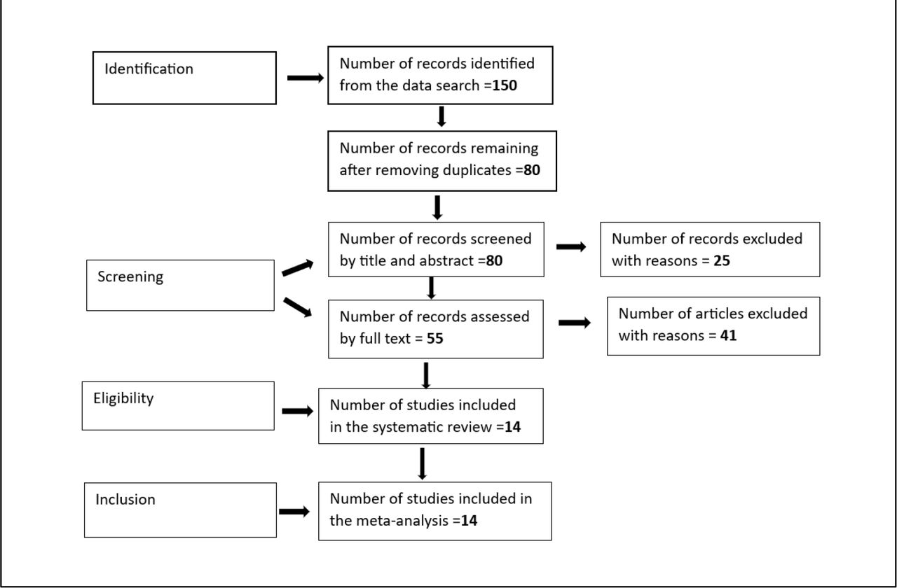 Screening process flow chart