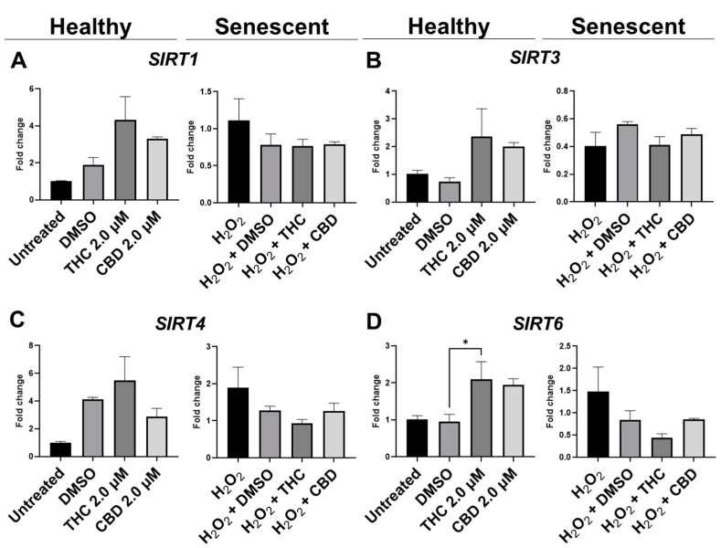 Effects of phytocannabinoids on mRNA levels of metabolic regulators in CCD-1064 human dermal fibroblasts. mRNA levels were presented as a ratio of the target gene relative to GAPDH for expression of (A) SIRT1, (B) SIRT3, (C) SIRT4, and (D) SIRT6. Data were analyzed with an ANOVA test followed by a Dunnett’s post-hoc multiple comparison test compared to the vehicle. Bars represent mean ± SEM, n = 3. CBD, cannabidiol; DMSO, dimethyl sulfoxide (vehicle); THC, delta-9-tetrahydrocannabinol. The asterisk shows significant difference (p < 0.05).