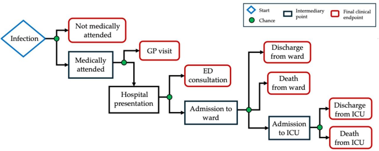 Clinical pathways model structure