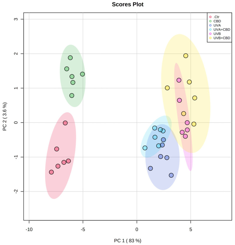 Two-dimensional principal component analysis (2D PCA) scores plot of the relative ceramide content of control (Ctr) and UVA-irradiated rats (increasing doses from 0.5 to 5 J/cm2 for 4 weeks) or UVB-irradiated rats (increasing doses from 0.02 to 2 J/cm2 for 4 weeks). These animals have not been treated (Ctr, UVA, and UVB) or have been treated topically (CBD, UVA+CBD, and UVB+CBD) (2.5 g CBD in 100 g petrolatum).