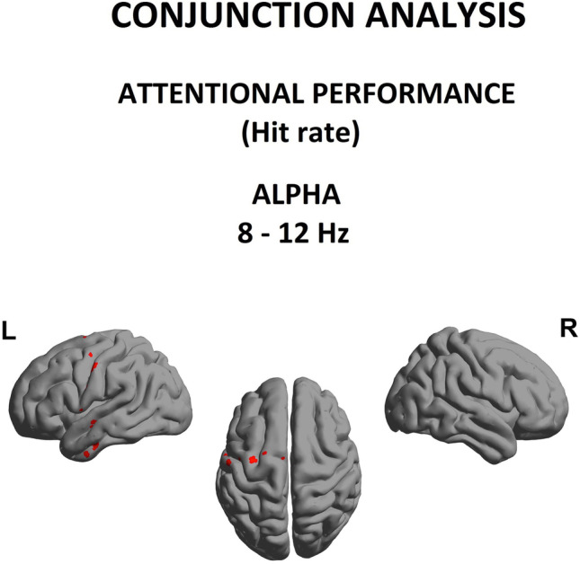 Alpha (8-12 Hz) power as a function of Hit rate score, conjunction analysis using data from control and CUD group