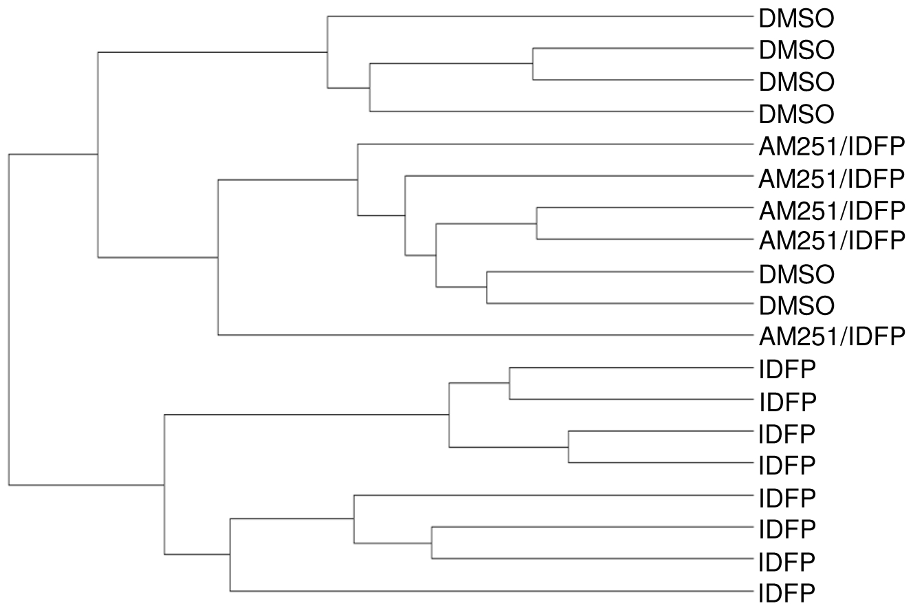 Hierarchical clustering of the transcriptome of individual mice.Dendrogram representation of cluster analysis from BeadStudio software 3.2 (Illumina).