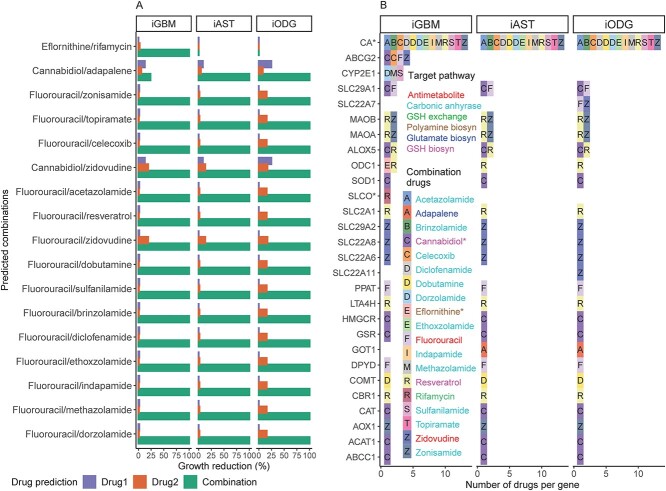 Eflornithine/rifamycin and cannabidiol/adapalene are predicted safe synergistic combinations for GBM and LGG, respectively. (A) Drug combination predictions were performed between two drug sets: (a) FDA-approved drugs after excluding predicted single drugs with a predicted lethal on the models and (b) approved AntiBCs and IAGs (marked with *). Combinations with growth reduction above 50% are depicted. All combinations, but two, reduce tumor growth across glioma subtypes (top two). (B) Analysis of the targets from the 17 synergistic combinations showed that dual KO of ODC1-SLCO (SLCO1A2, SLCO1B1, SLCO2A1 and SLCO2B1) genes are GBM-specific, while GOT1 and cannabidiol targets are LGG-specific. The drug names are colored based on the targeted pathway. Abbreviations: GSH, glutathione; biosyn, biosynthesis.