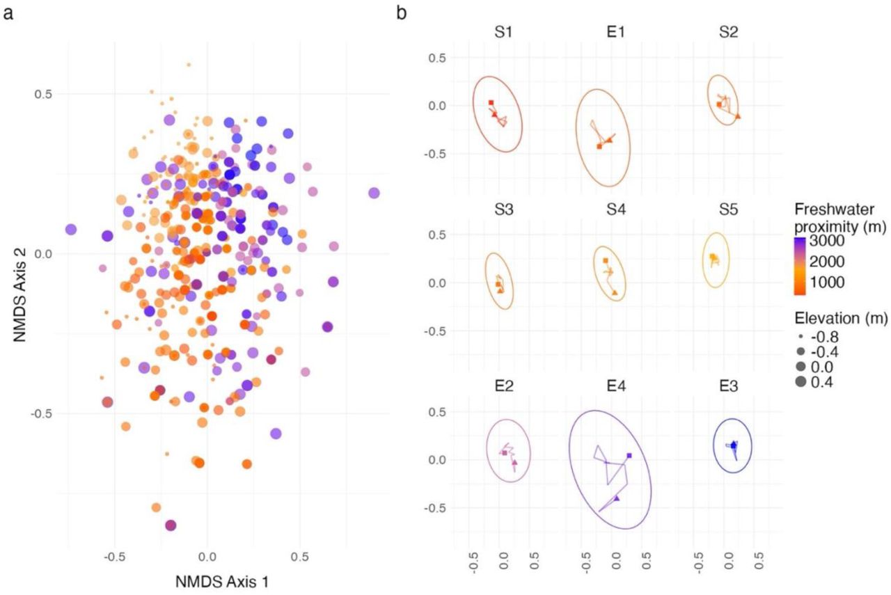 (a) Non-metric multidimensional scaling ordination (NMDS, n = 464, stress = 0.24, r2 = 0.79) representing community composition in the Ihutai/Avon-Heathcote estuary, where point-size and point-colour reflects vertical elevation and freshwater proximity, respectively. (b) Site-level NMDS plots depicting monthly changes in community centroids between November 2019 (square) to October 2020 (triangle). The total number of quadrats (n) sampled at each site were: S1 = 77, E1 = 76, S2 = 65, S3 = 77, S4 = 74, S5 = 73, E2 = 73, E4 = 53 and E3 = 78.