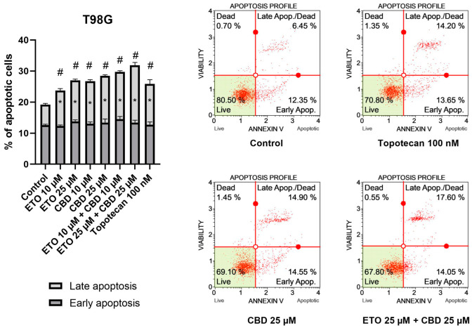 The impact of ETO, CBD, and their combinations on apoptosis in the T98G cell line after 24 h of treatment: The data are presented as the mean ± SEM, derived from two independent experiments; (*) denotes statistically significant differences from the control group for early/late apoptosis, while (#) above the bar indicates statistically significant differences from the control group for total apoptotic cells, with p < 0.05. Representative histograms show the results obtained for control (DMSO-treated cells—negative control), 100 nM topotecan (positive control), 25 μM CBD, and the combination of 25 μM ETO and 25 μM CBD. Live cells are shown in the lower-left quadrant of the scatterplot, whereas early-apoptotic cells and late-apoptotic cells/dead cells are shown in the lower-right and upper-right quadrants of the scatterplot, respectively. Dead cells are presented in the upper-left quadrant of the scatterplot.