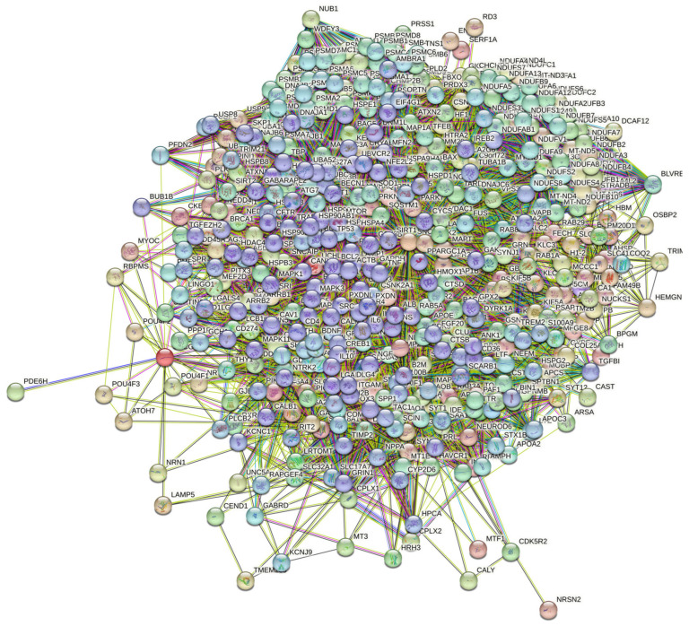 STRING-generated PPI network centered at human α-, β-, and γ-synucleins.