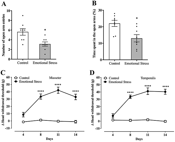 Effect of emotional stress on the plus maze test and on mechanical sensitivity of masseter and temporalis muscles in rats. A, Number of open arm entries in plus maze test. B, Time spent in the open arms (%) of plus maze test. The time course of the increase in mechanical sensitivity (delta head withdrawal threshold in the von Frey test) in masseter (C) and temporalis (D) muscles. Data are reported as means±SE; *P<0.05; unpaired t-test (A and B) and ****P<0.0001 vs control; two-way ANOVA, Tukey post-test (C and D).