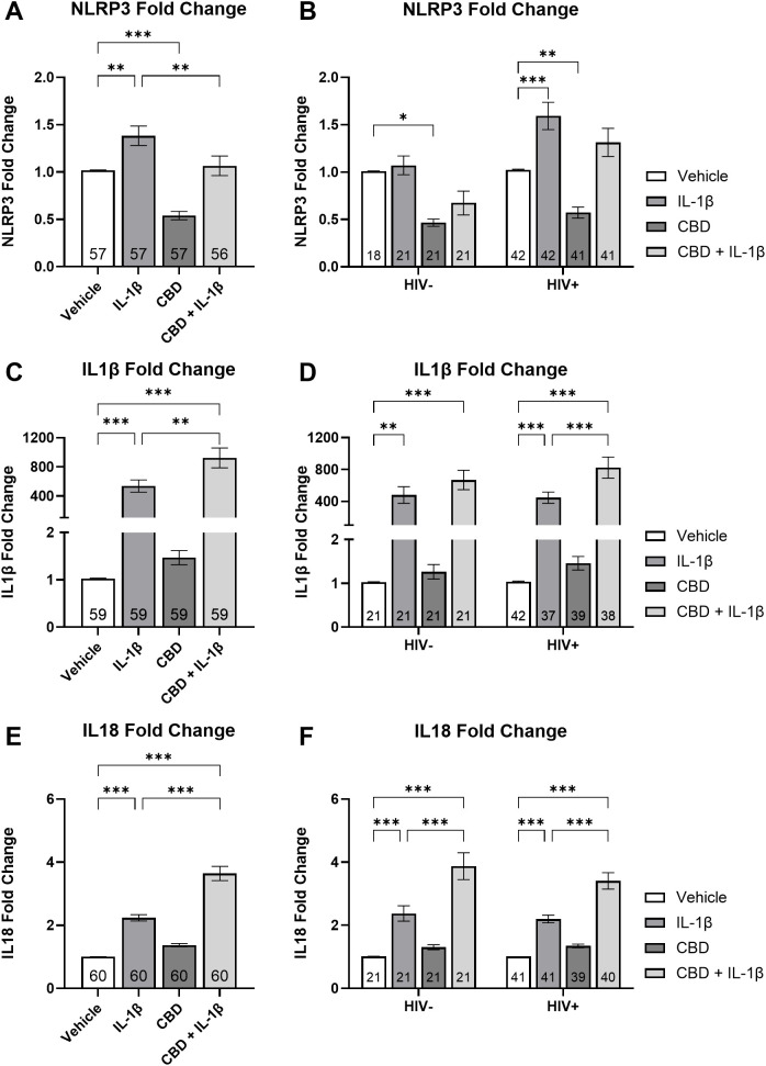 Bar graphs A to F illustrate the fold change of NLRP3, IL1β, and IL18 under various conditions. Each graph presents four treatments: Vehicle, IL-1β, CBD, and CBD combined with IL-1β. Pairwise comparisons show significance levels, with many reaching p-values less than 0.01 or 0.001. Graphs B, D, and F compare results in HIV-negative and HIV-positive states, indicating variations in response to treatments. Error bars represent standard deviations, and sample sizes vary for each condition.