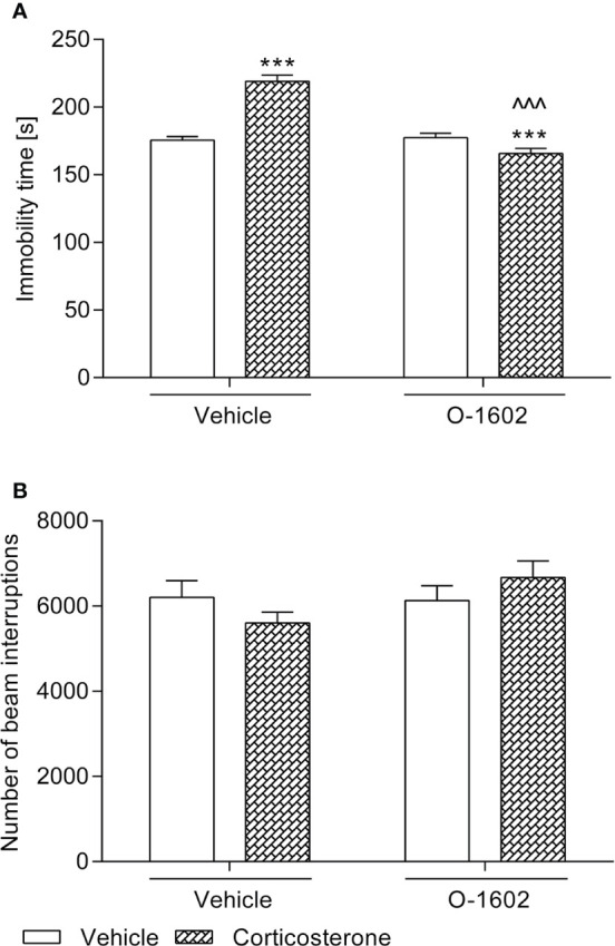 Influence of the 7-day intravenous administration of O-1602 (0.25 mg/kg/day) on the behaviour of rats subjected to the 14-day corticosterone treatment (20 mg/kg/day, subcutaneously) (A) in the forced swim test and (B) in the measurement of locomotor activity. The values represent the mean + SEM (n = 12 animals per group). ***p < 0.001 versus vehicle-treated group, ^^^p < 0.001 versus corticosterone-treated group (Bonferroni’s post hoc test).