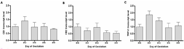 Anandamide binding receptor transcript levels during pregnancy. The levels of transcripts for (A) CB1, (B) CB2 and (C) TRPV1 were measured by Q-PCR and normalised against rat β-actin levels. The data were then divided by the mean value obtained on Day 10 and presented as mean ± SEM; n = 4.