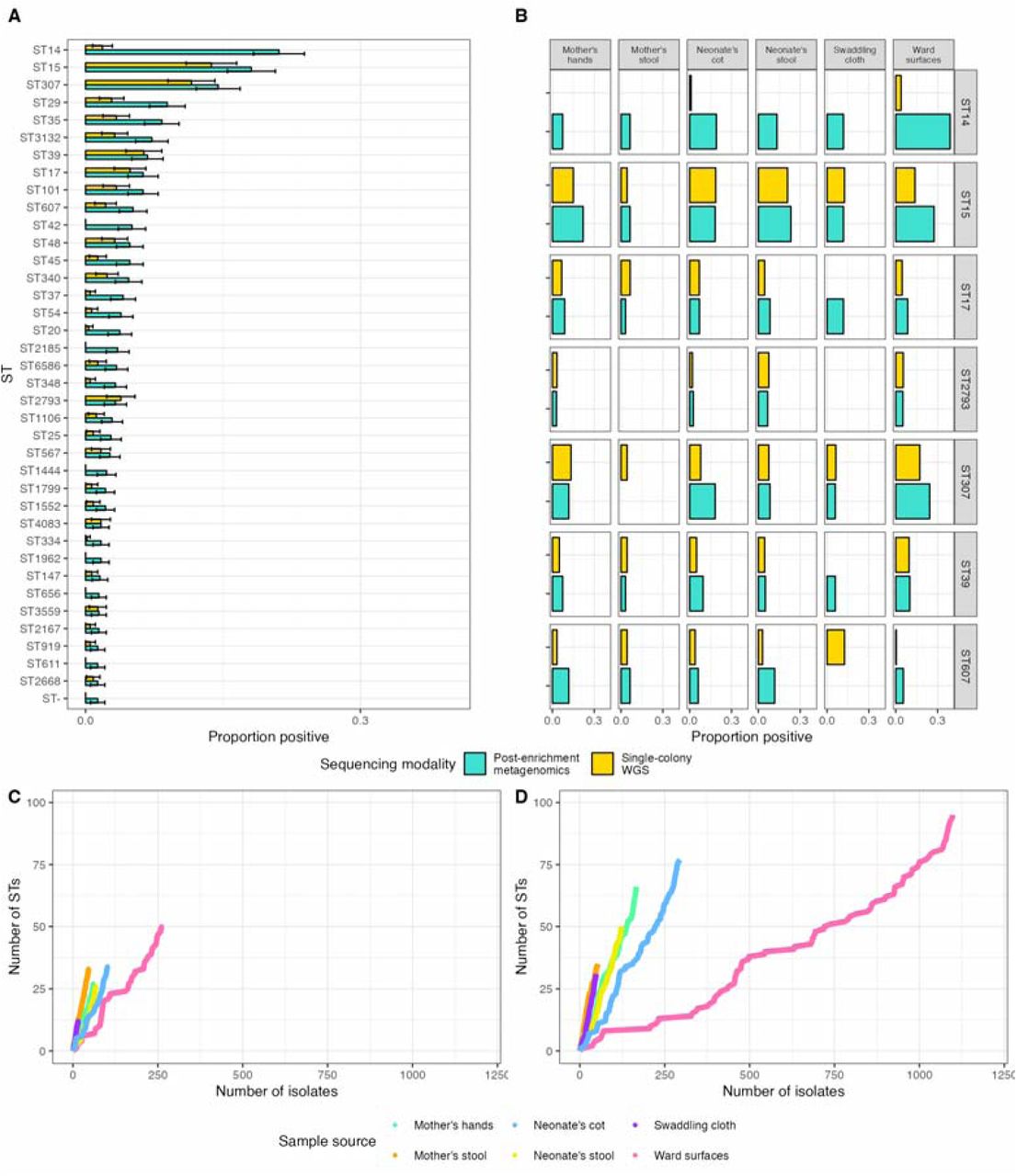 A) A bar chart showing the proportion of samples that were positive for different STs of K. pneumoniae using both single colony WGS and post-enrichment metagenomic sequencing for all sample types. B) A bar chart showing the proportion of samples that were positive for specific STs of K. pneumoniae by sample type, using both single colony WGS and post- enrichment metagenomic sequencing. C) Rarefaction curves for single colony WGS, in which isolates are randomly drawn from the overall pool of isolates in sequence, to indicate the number of new STs identified for a given number of isolates. D) Rarefaction curves for post- enrichment metagenomics, in which K. pneumoniae groupings are randomly drawn from the overall pool of groupings in sequence, to indicate the number of new STs identified for a given number of isolates.