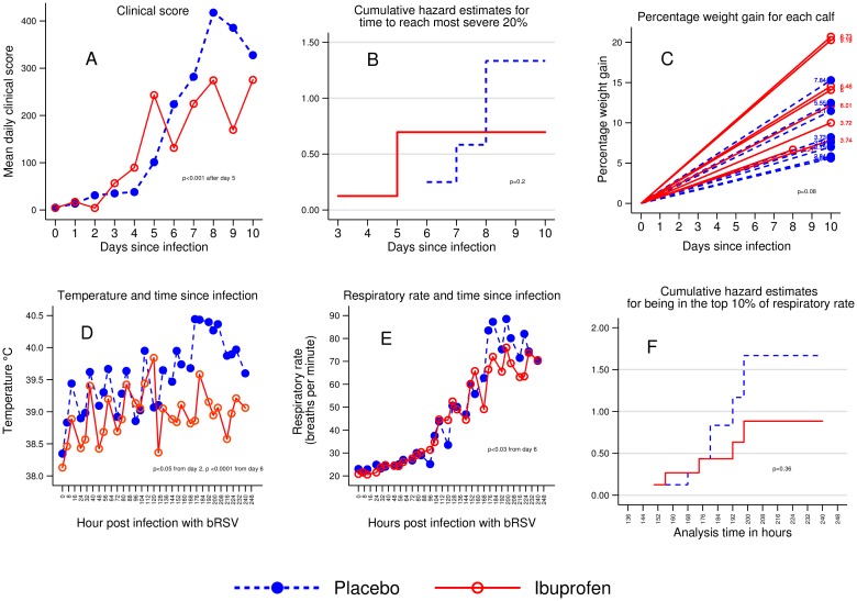 Comparison of clinical outcomes in ibuprofen and placebo groups.Sixteen calves were experimentally infected with bovine respiratory syncytial virus by nebulizer on Day 0. Eight received ibuprofen and received eight placebo. (A) Shows the mean clinical score by treatment group for each day. The groups were statistically significantly different by Day 5 using a mixed effects model. (B) Shows the time taken to enter the most severe decile of illness as measured by the clinical score. Statistical significance was calculated using the log rank test. (C) Shows the percentage weight gain for each individual calf. Calves randomized to ibuprofen are in red; placebo is in blue. Statistical significance was calculated using ordinary least squares regression. (D) Shows the mean temperature by treatment group. Temperature was measured every eight hours. (E) Shows the mean respiratory rate per group. Respiratory rate was measured every eight hours. Statistical significance was calculated for both temperature and respiratory rate using a mixed effect model. (F) Shows the time taken to enter the most severe decile of tachypnea. Statistical significance for (F) was calculated using the log rank test.