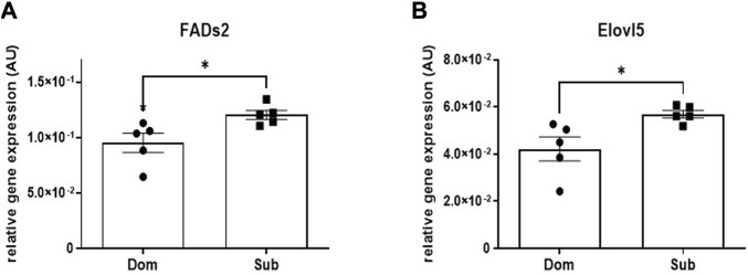 Whole brain levels of gene transcription in Sub and Dom mice. (A) Fads2; (B) Elovl5. mRNA expression was measured by the real-time RT-PCR in whole-brain extracts of Sub and Dom male mice. The data is presented as relative abundance. *p < 0.05 by Mann-Whitney test.