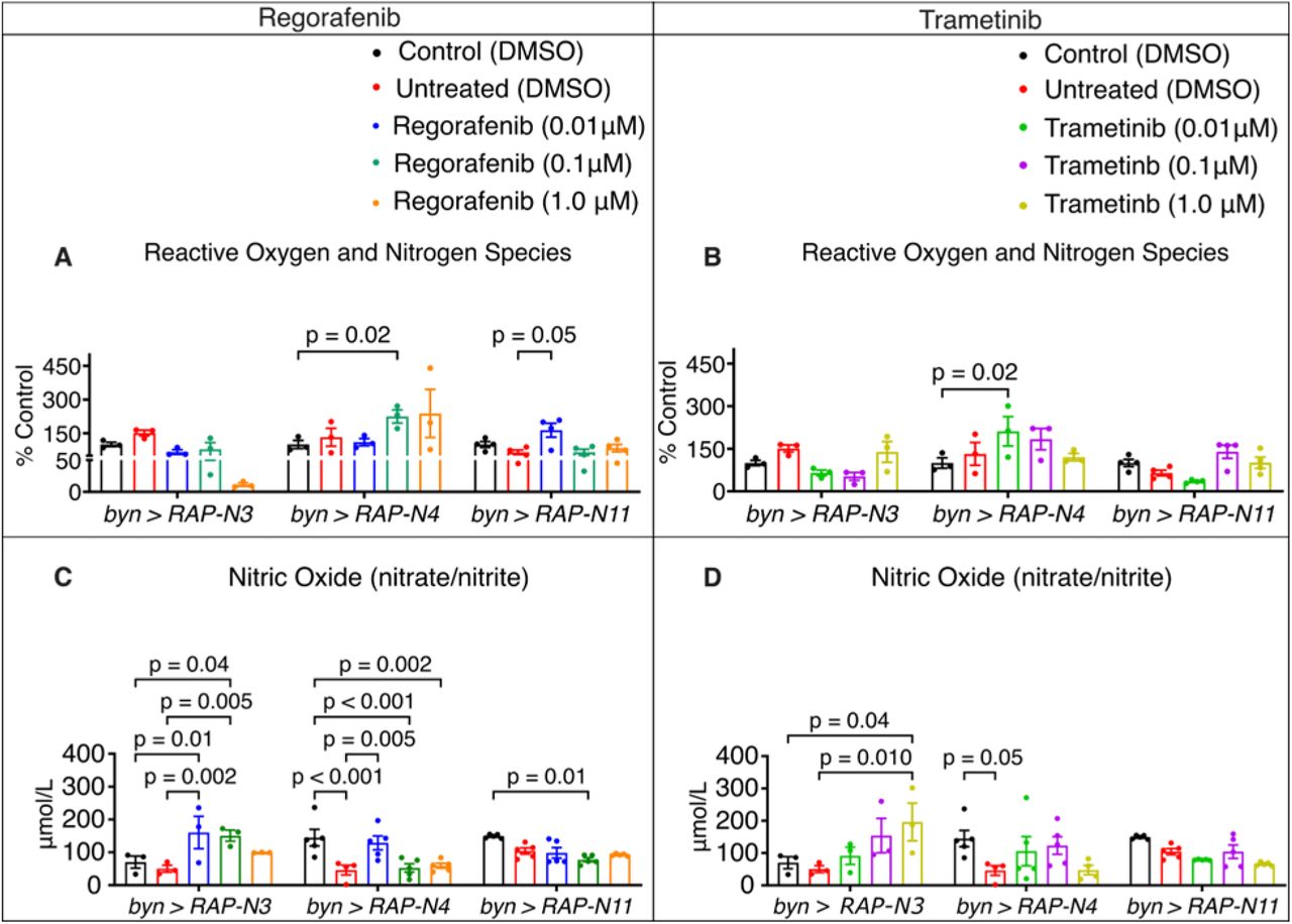 Therapeutic effect of regorafenib and trametinib on biomarkers of oxidative stress.RONS and NO in Patient-specific Nigerian-CRC Fly Models (byn>RAP-N3, byn>RAP-N4 and byn>RAP-N11); (A-B) RONS levels of larvae treated with regorafenib and trametinib (n = 3 to 5 sample replicates per group). (C-D) Nitric oxide of larvae treated with regorafenib and trametinib (n = 3 to 5 sample replicates per group); In (A-D), data are presented as mean ± SEM. p < 0.05 (one-way ANOVA with Tukey’s multiple-comparison test).