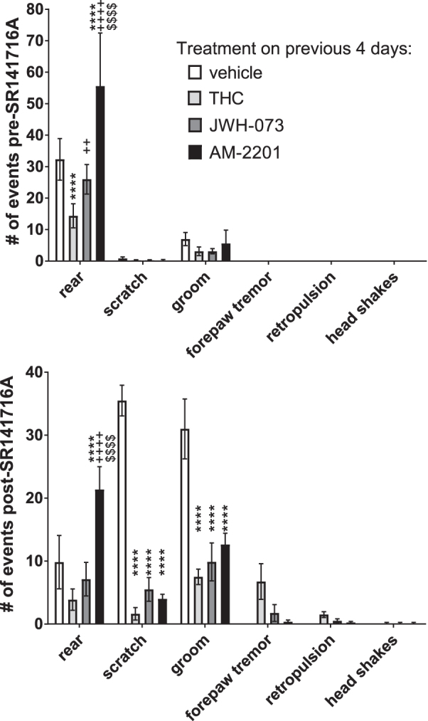 Spontaneous and antagonist-precipitated withdrawal behaviors of mice on day 5 after four daily injections of cannabinoid agonists. Male C57BL/6 mice were injected with 50 mg/kg THC (n=8), 30 mg/kg JWH-073 (n=8), 1 mg/kg AM-2201 (n=9), or vehicle (n=6) on days 1–4 (Fig. 3), then on day 5 were injected with 10 mg/kg of the CB1-selective antagonist, SR141716A. Behaviors were observed and each event noted. Data shown are the mean±SEM number of events observed for each treatment group during the 10 min before (spontaneous withdrawal) and 10–30 min after (antagonist-precipitated withdrawal) injection of 10 mg/kg SR141716A. Data were analyzed by two-way ANOVA followed by Tukey's multiple comparisons test. ****p<0.0001 versus vehicle; ++p<0.01, ++++p<0.0001 versus THC; $$$$p<0.0001 versus JWH-073.