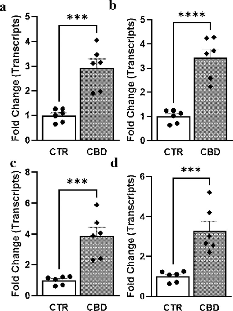 Effect of CBD in NFKB downstream effector transcripts for non-canonical cell death pathways.Real-time PCR analyses of transcripts (a) gp91phox (b) iNOS (c) Cyp2E1 and (d) Gpx1 from PC3 cells treated with vehicle (CTR) or CBD (10μM). All data were normalized to the housekeeping gene β-actin. *** p<0.001 CBD vs CTR; **** p<0.0001 CBD vs CTR, n = 6/group.