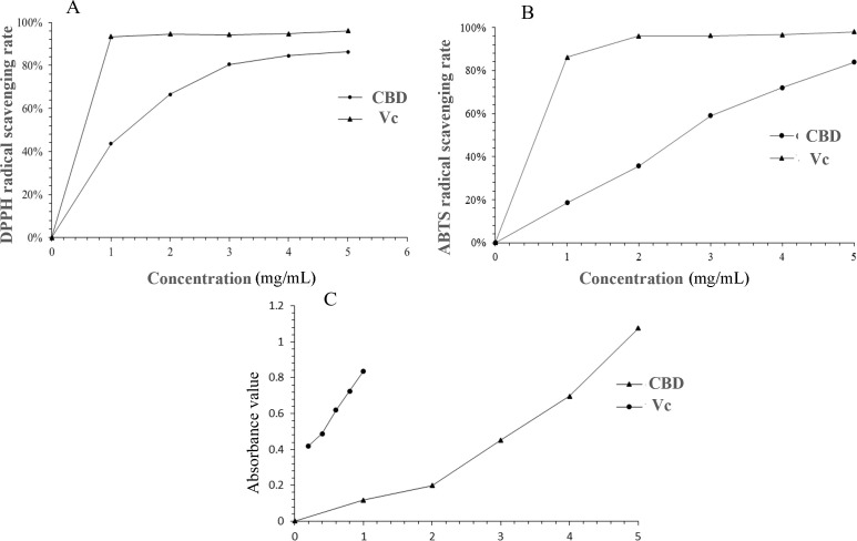 Comparative analysis of DPPH radical scavenging activity (A), ABTS radical scavenging activity (B), and reducing power (C) between CBD-enriched extracts and Vc.