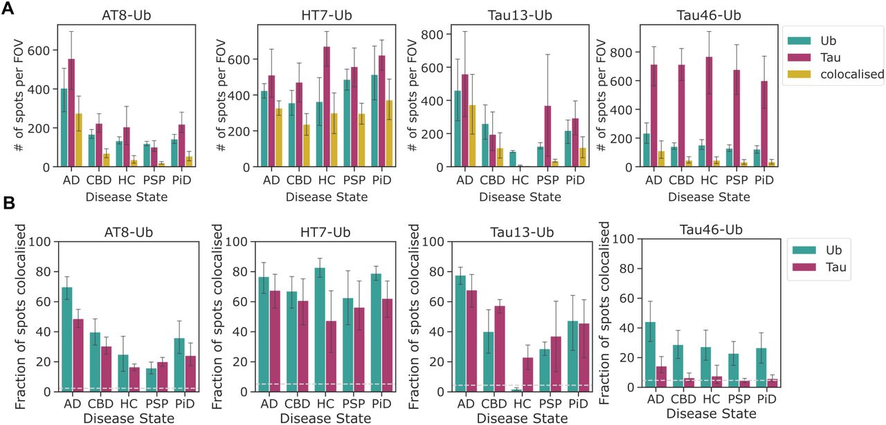 : Co-localisation of tau and ubiquitin in brain homogenate across tauopathies. (A) Number of spots per field-of-view (FOV) detected by SiMPull using tau (AT8, HT7, Tau13, Tau46 in the 641 channel) and ubiquitin antibodies (488 channel), with spatially overlapping signals indicating co-localised aggregates. (B) Fraction of tau or ubiquitin spots co-localised with the respective partner, plotted separately for each antibody pair. Dotted lines denote expected random co-localisation rates. Each bar represents mean ± SD (n = 4 for PiD, n = 5 for other disease groups).